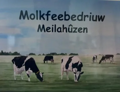 Molkfeebedriuw Meilahûzen